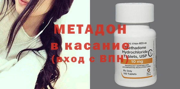 прущие грибы Аркадак