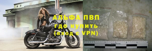 шишки Арсеньев
