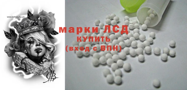 шишки Арсеньев