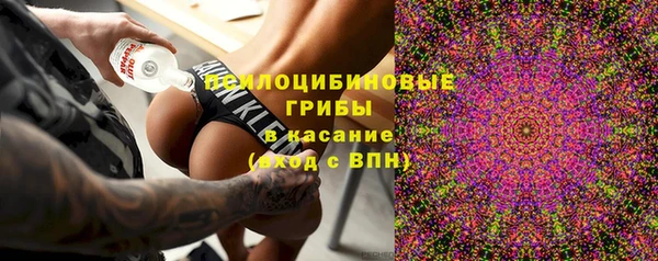МДПВ Армянск