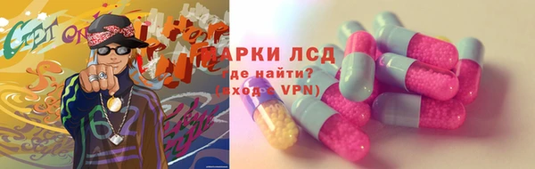 прущие грибы Аркадак