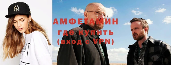 шишки Арсеньев