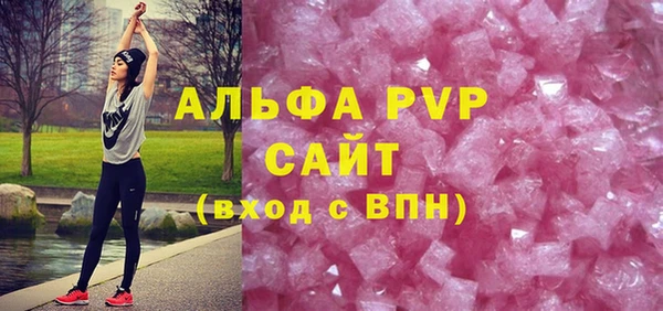 шишки Арсеньев