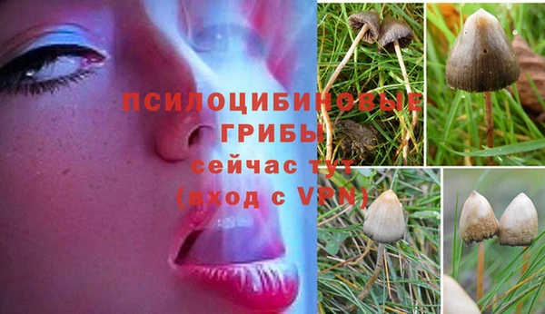 МДПВ Армянск