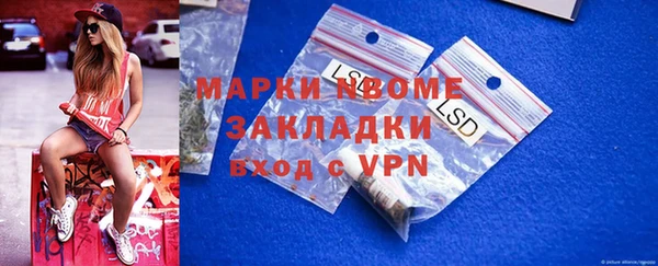 шишки Арсеньев