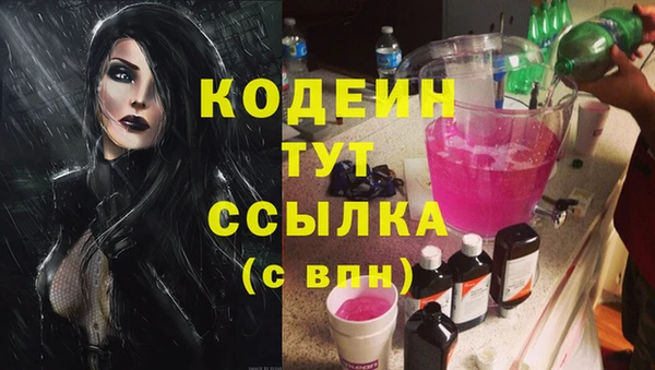 шишки Арсеньев