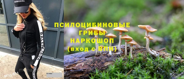МДПВ Армянск