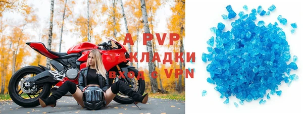 шишки Арсеньев