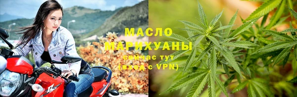 прущие грибы Аркадак